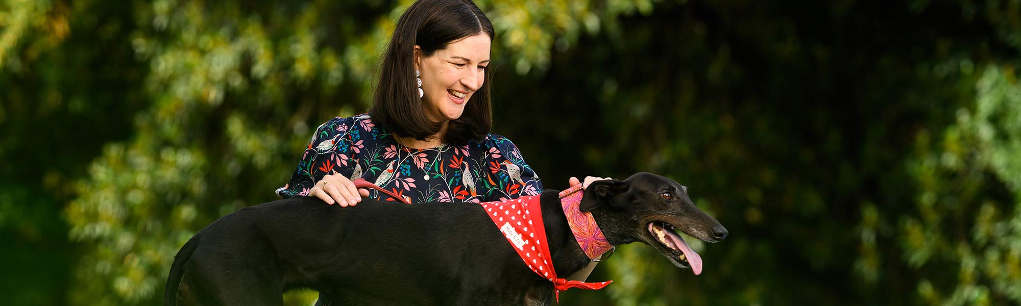 a woman patting a greyhound in a park